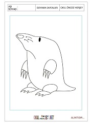 Köstebek boyama sayfaları